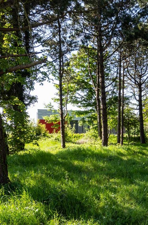 oje-haeuser-slider-wald